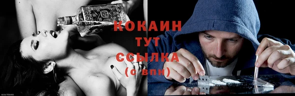 шишки Балахна