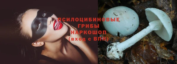 мдпв Балабаново