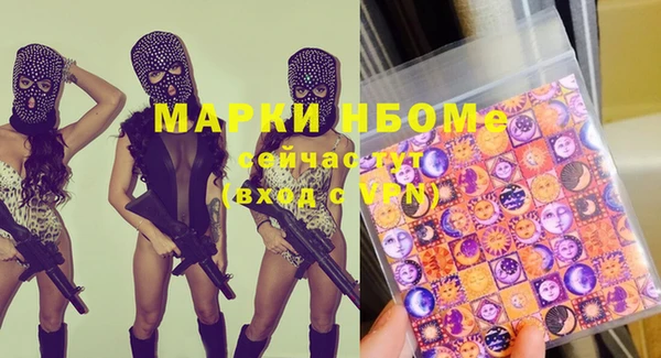 шишки Балахна