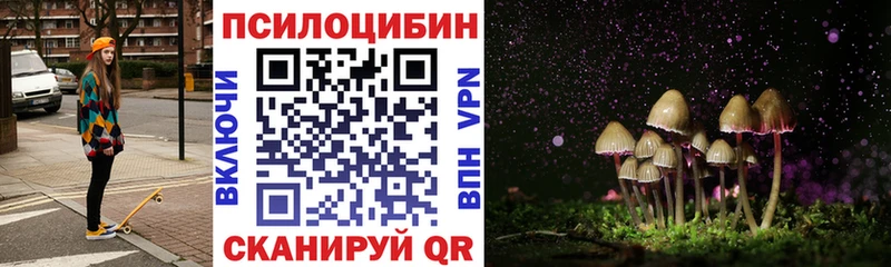 darknet состав  где купить наркоту  Макарьев  Галлюциногенные грибы Psilocybe 