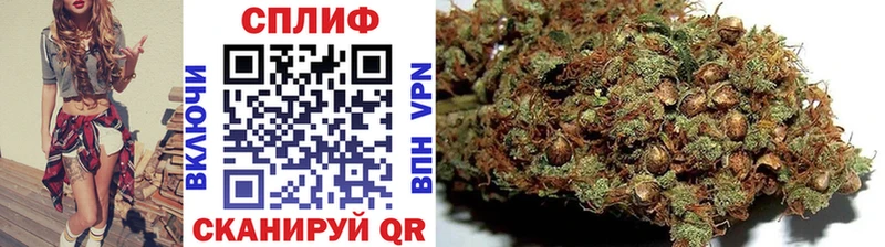 Канабис White Widow Макарьев